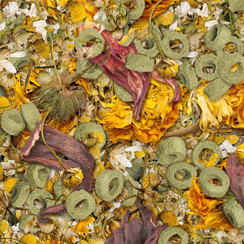 SERA Flowers_n_Loops Nature 140g (Tortoise Treat) 2